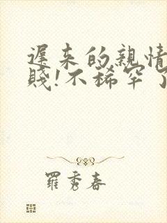 迟来的亲情太轻贱!不稀罕了