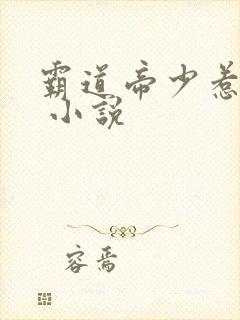 霸道帝少惹不得 小说