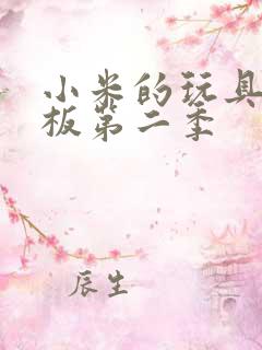 小米的玩具店老板第二季