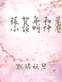 张贺年和叶繁姿小说叫什么名字