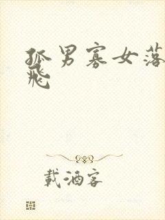 孤男寡女落瑛纷飞