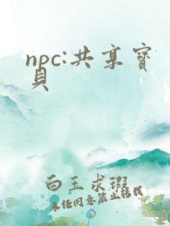 npc:共享宝贝