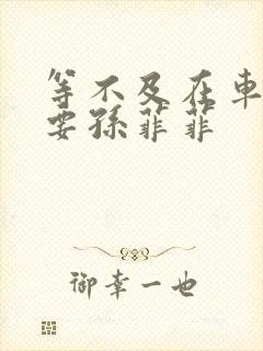 等不及在车里就要孙菲菲