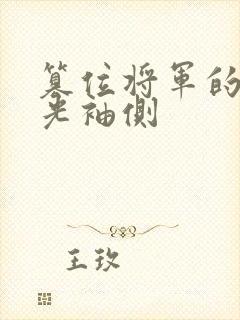 篡位将军的白月光袖侧