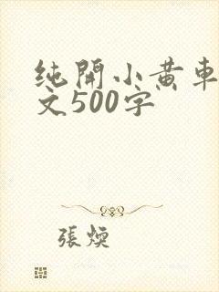 纯开小黄车小短文500字