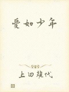 爱如少年