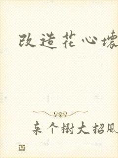 改造花心坏相公