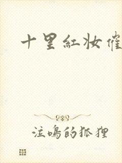 十里红妆催华发