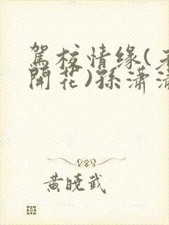 驾校情缘(老树开花)孙潇潇第一次趣笔阁