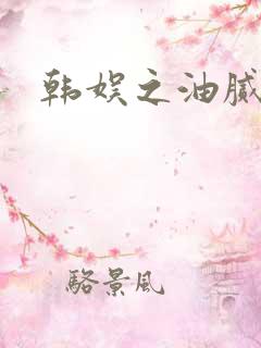 韩娱之油腻夫妇