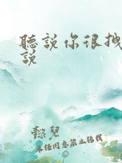 听说你很拽啊小说