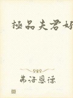 极品夫君好又多