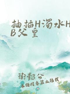 抽插H浊水H嫩B父皇