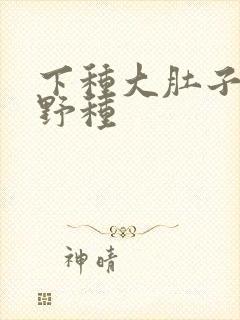 下种大肚子怀孕野种