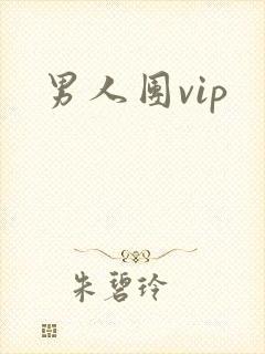 男人团vip