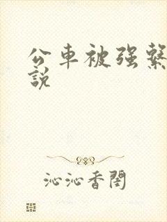 公车被强系列小说