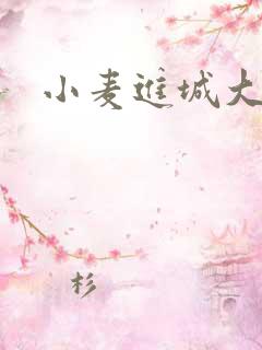 小麦进城大结局