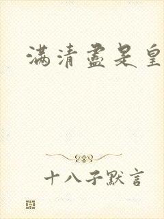 满清尽是皇阿哥