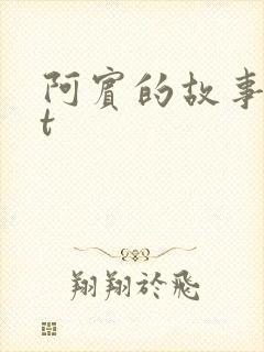 阿宾的故事txt