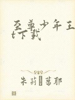 至尊少年王txt下载