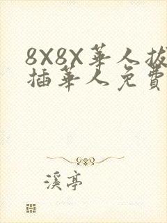 8X8X华人拔插华人免费