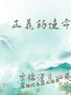 正义的使命小说