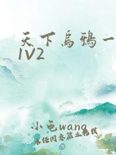 天下乌鸦一般黑1V2