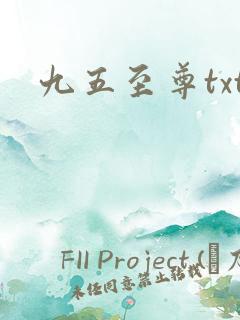 九五至尊txt