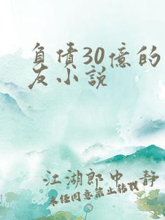 负债30亿的男友小说