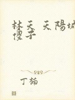 林天 天阳城 傻子