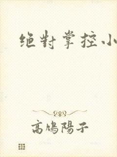 绝对掌控小说