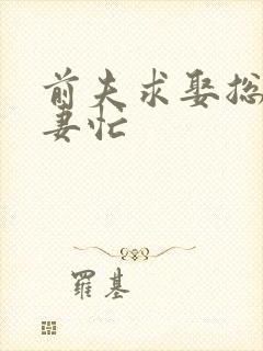 前夫求娶总裁追妻忙