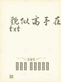 貌似高手在异界txt