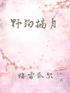 野狗摘月