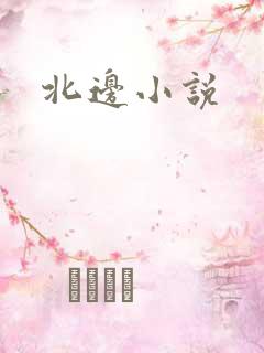 北边小说