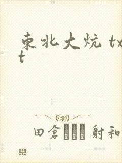 东北大炕 txt