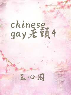 chinesegay老头4