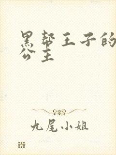 黑帮王子的淘气公主