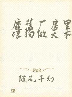 废旧厂房里和流浪狗做天本