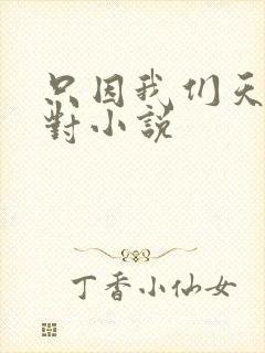 只因我们天生一对小说