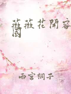 薇薇花开容颜倾国