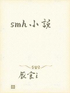 smh小说