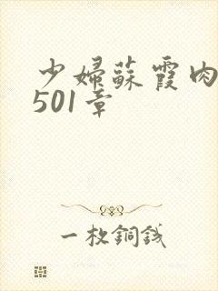 少妇苏霞肉欲第501章