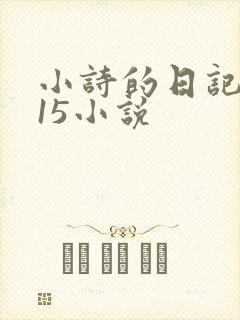 小诗的日记1一15小说