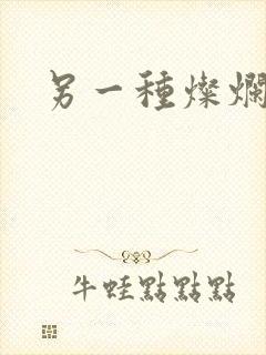 另一种灿烂生活