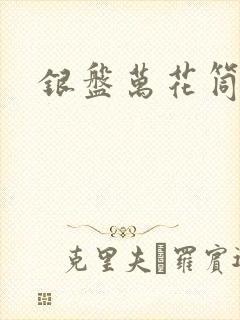 银盘万花筒小说