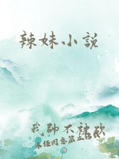 辣妹小说