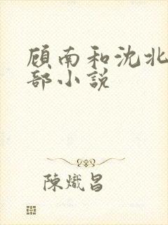 顾南和沈北是哪部小说