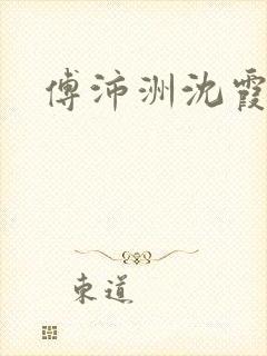 傅沛洲沈霞小说