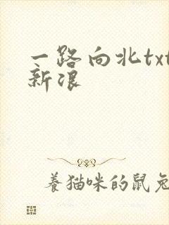 一路向北txt新浪